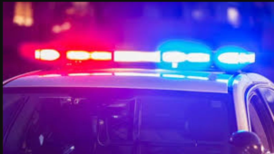 Victoria Castle Long Island Death, Obituary -NY PhD Student Allegedly Murdered By Brother-In-Law
